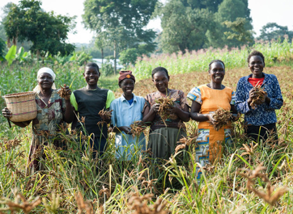 International Women's Day farmers for ONE | Cool Mom Picks