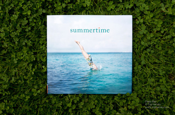 Summertime book by Joanne Dugan