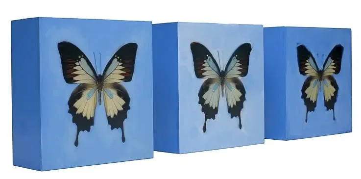 Butterfly, Butterfly Fly Away Home (Which is Actually a Really Dark Rhyme When You Learn the Words)