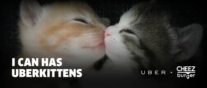 You can haz kittens and cupcakes on National Cat Day