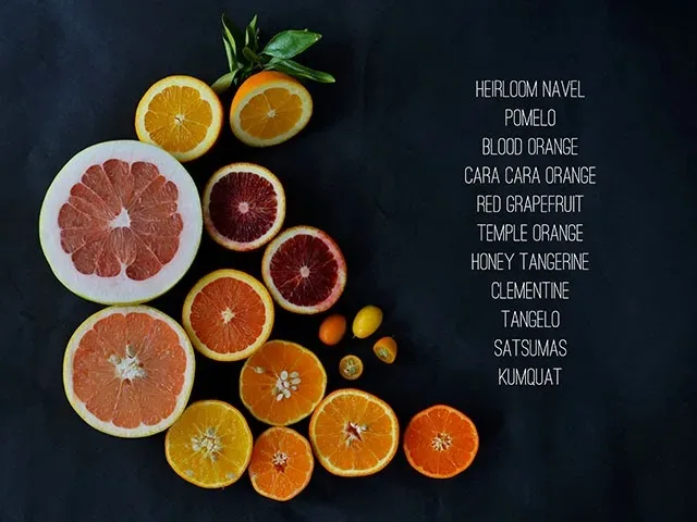 Heart of Gold Winter Citrus Guide