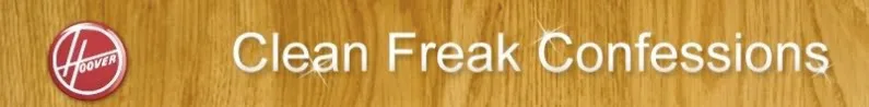Clean Freak Confessions - Ours and hopefully, yours
