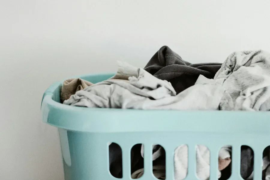 Daily Question: Who does the most housework in your home?
