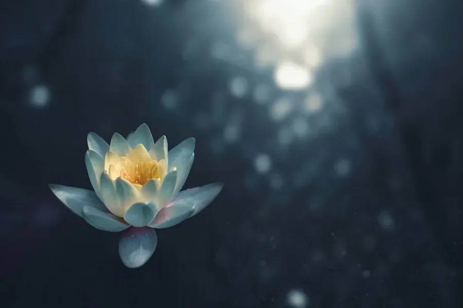 Mindful meditation tips from Nebula: Sponsored message