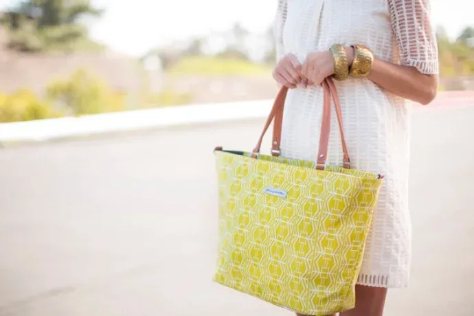 The cool new diaper bags from the Petunia Pickle Bottom Mod Collection