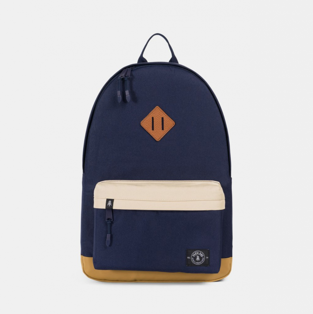 Cool backpacks for tweens and teens: Parkland Meadow Plus Lined Laptop Backpack in Blue Stone
