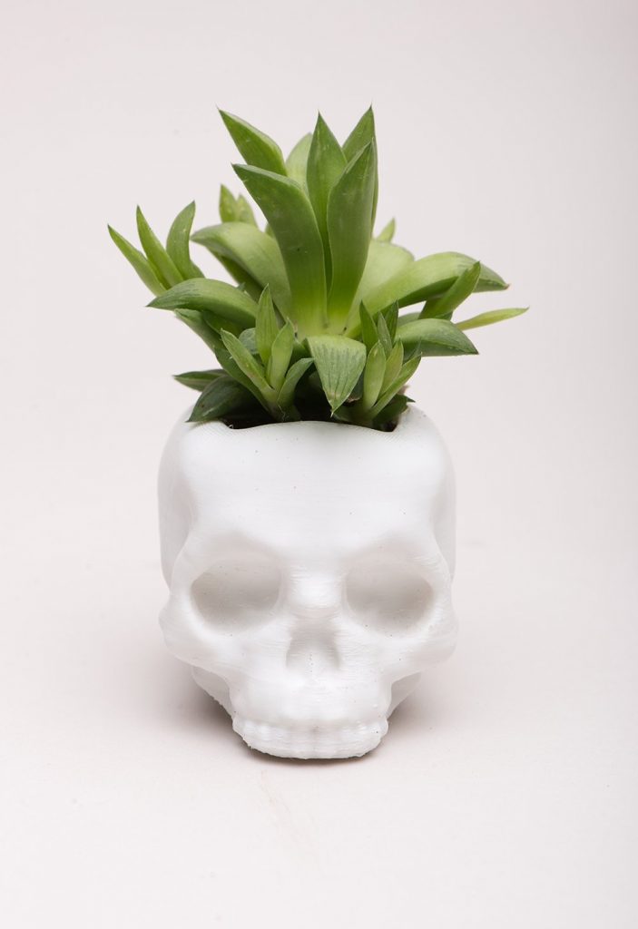 3D printed skull planter from Meow3D: Cool Halloween gifts for cynical tweens and teens