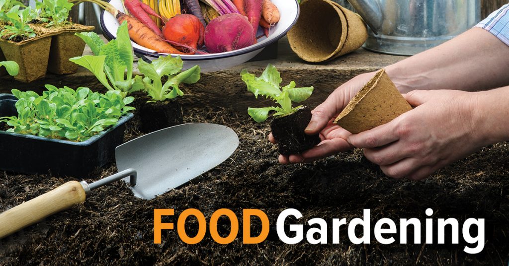Join our The Great Courses Plus Food Gardening Course | The We Time Project | sponsored