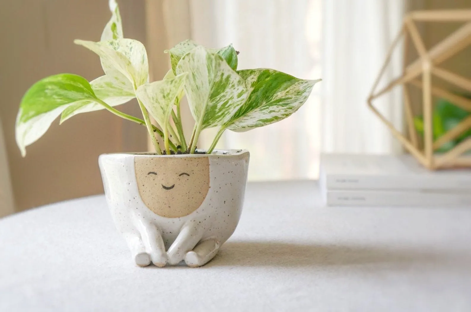 The best indoor planters to zhuzh up your living areas: Maya ceramic planter at Ceramic Sense