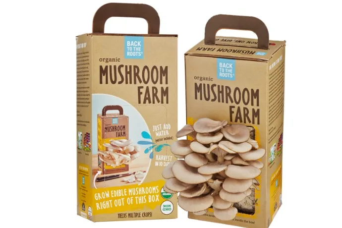 Back to the Roots grow your own mushroom kits