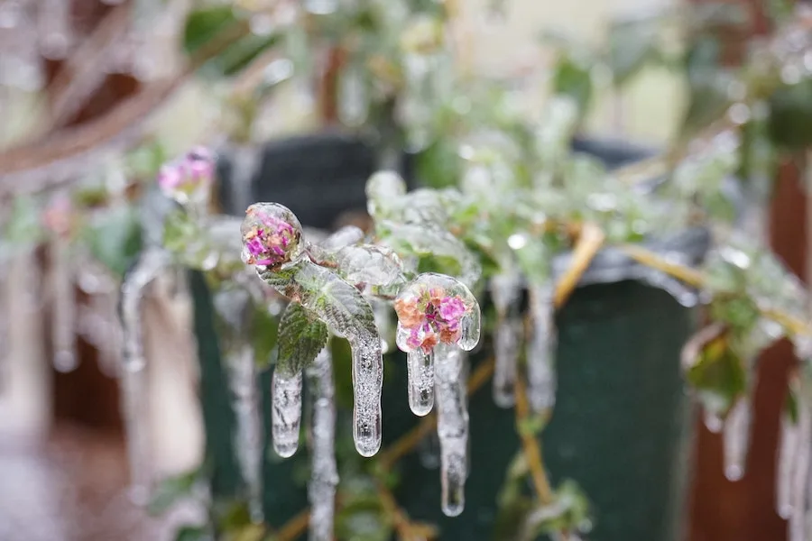 A good list of organizations and ways to help the Texas 2021 winter storm victims right now