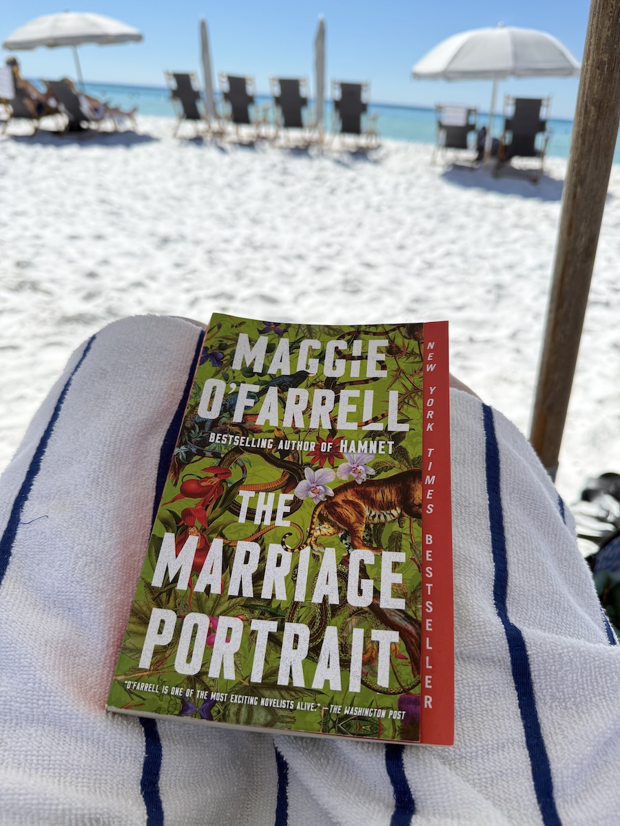 A Marriage Portrait by Maggie O'Farrell on the beach
