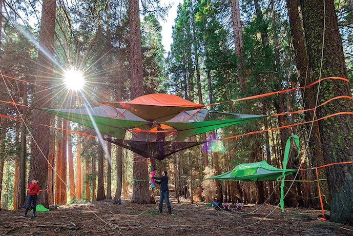 Camp in the trees with a Tentsile tent.