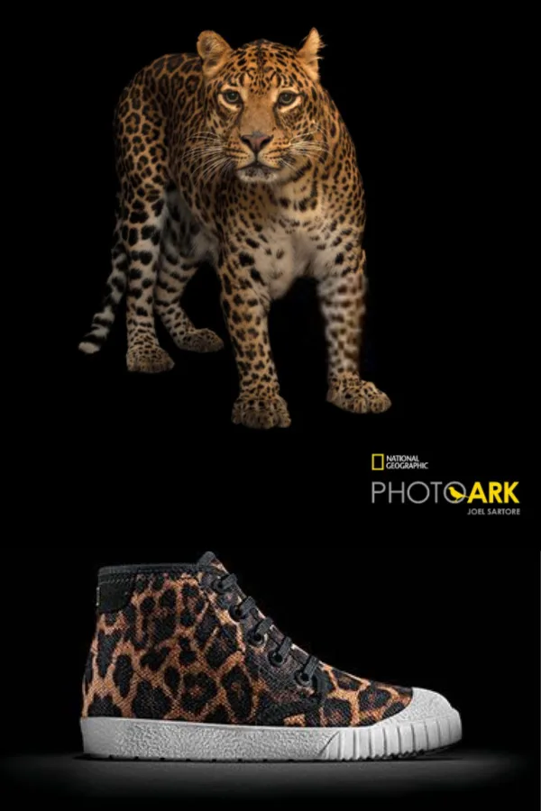 Clarks Kids x National Geographic eco-friendly sneakers for kids inspired by the Harlequin Filefish