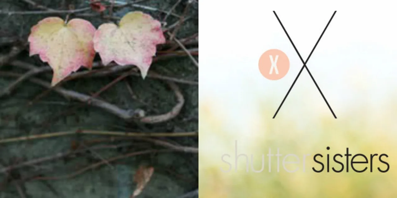 Fall is coming: Is your camera ready?