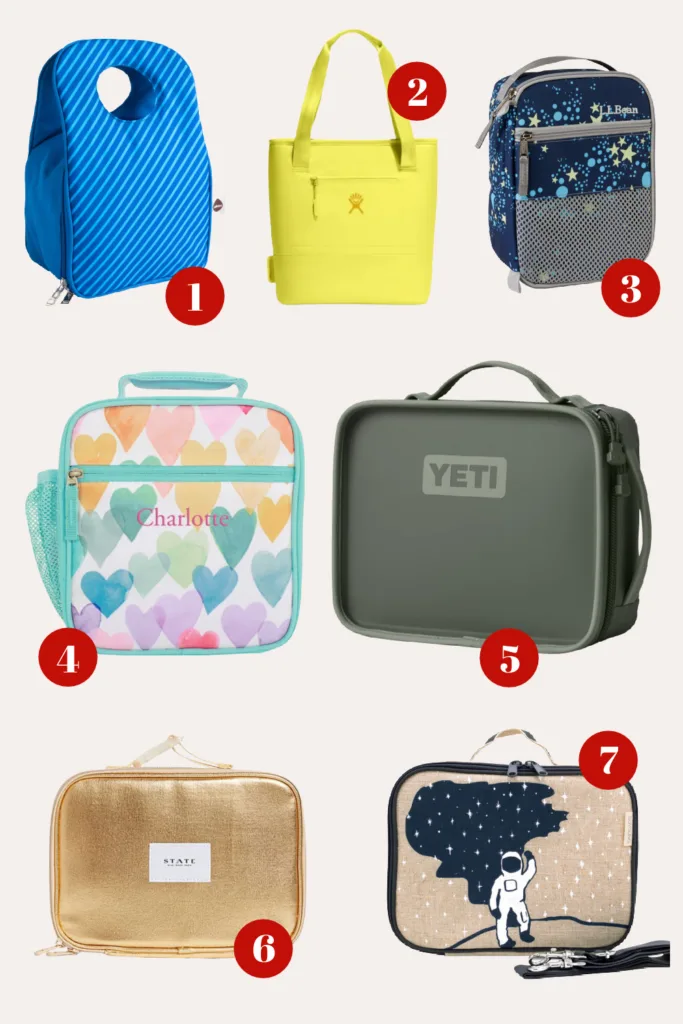 SoYoung Petite Poches Insulated Cooler Bag