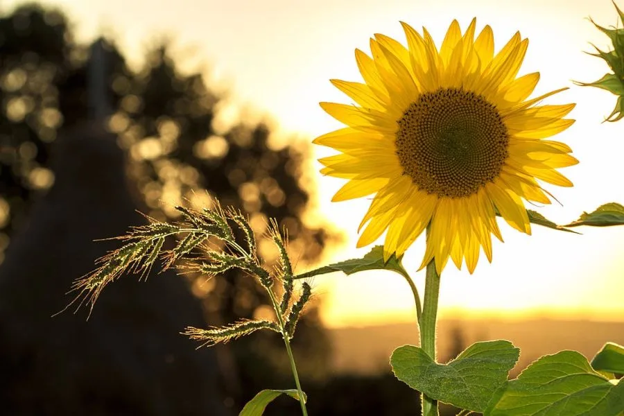 Smart Earth Day ideas for families – and the sustainable brands making it easier
