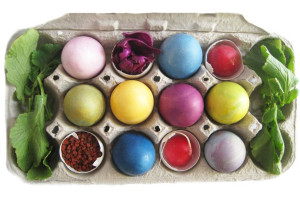 Natural Easter Egg dye from GLOB
