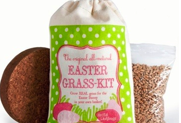 Grow your own. Easter grass, that is.