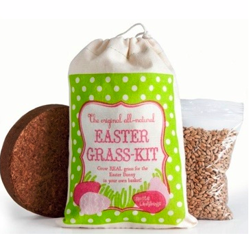 Grow your own. Easter grass, that is.