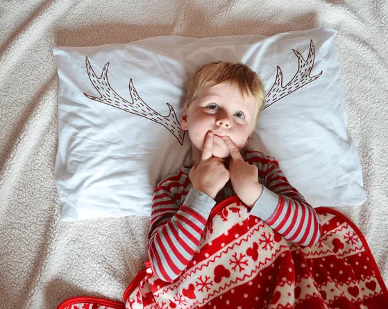 Reindeer antler pillowcase | Cool Mom PIcks