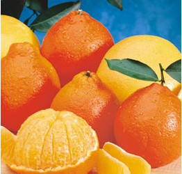 HoneyBells – The gift that won’t arrive in time for Christmas. Which is exactly the point.