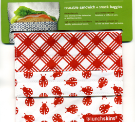 3 greenmoms’ LunchSkins now at Target. Go green!