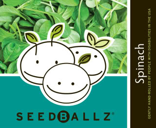 How does your garden grow? With SeedBallz