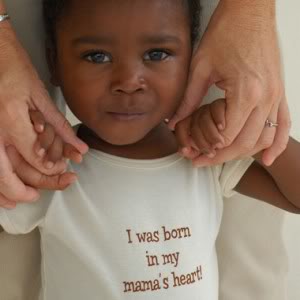 Adoption t-shirts that say just the right thing
