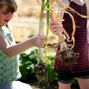 9/11 – a very good day for doing very good