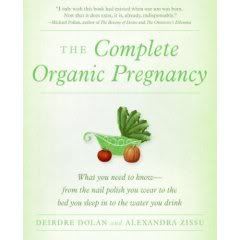 A Pregnancy Book That Won’t Cause Night Sweats