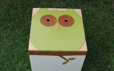 Whooooo makes the coolest toy boxes?