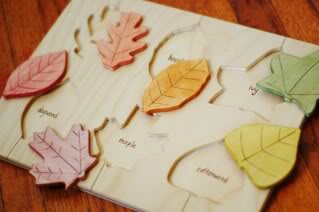 Lift a leaf and learn about a tree