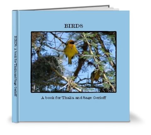 DIY Shutterfly photo learning book winners – Behold the creativity