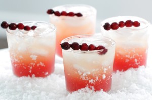 Cranberry Vanilla Holiday Cocktail on Cool Mom Picks