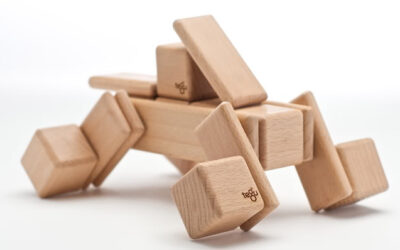 Tegu blocks build way more than imaginations