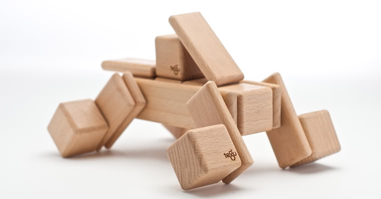 Tegu blocks build way more than imaginations
