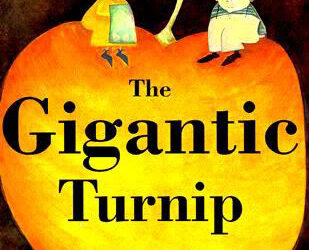 The Much Overlooked Turnip Gets Its Literary Due At Last