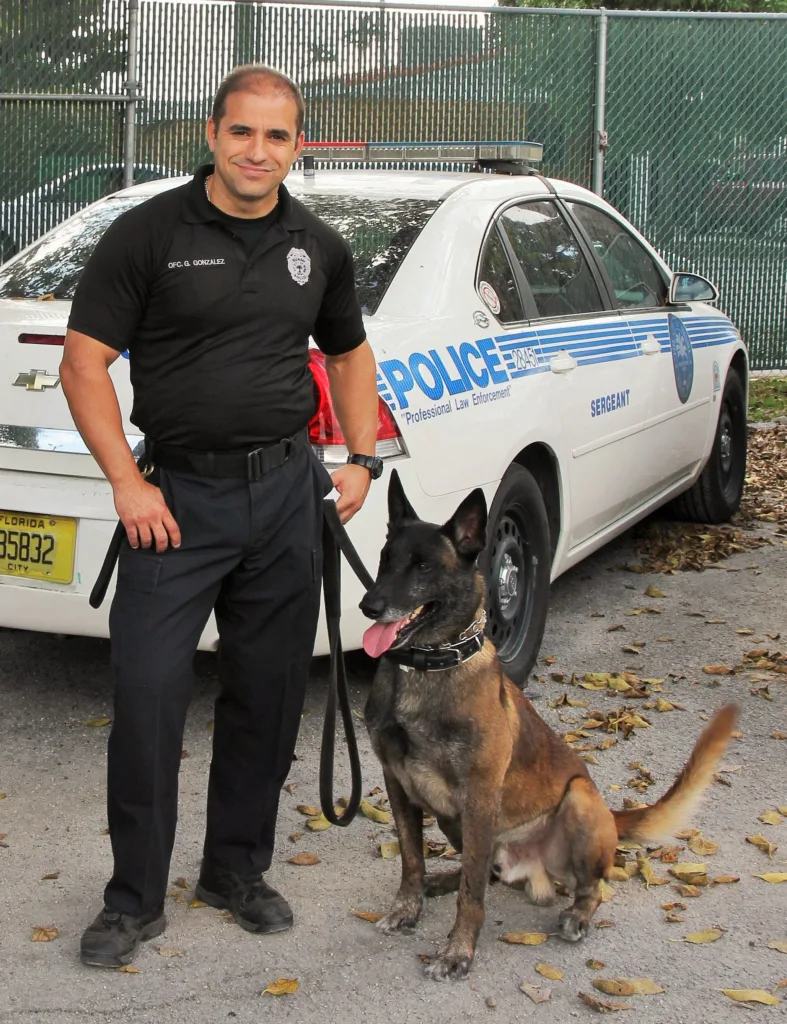 Thank a Police Dog Week - Dash from the Miami PD