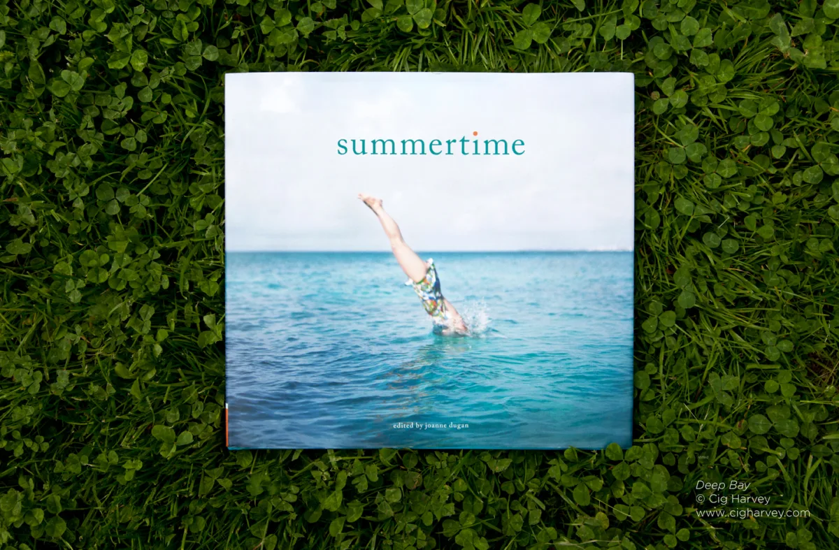 Summertime book by Joanne Dugan