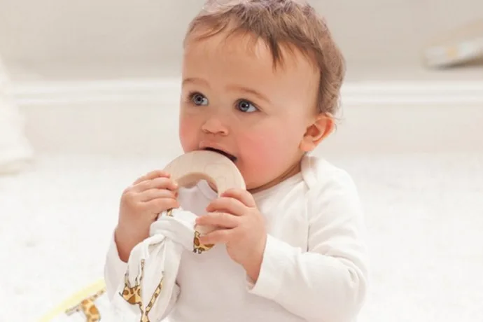 Aden + Anais new teether toy and muslin blanket combo