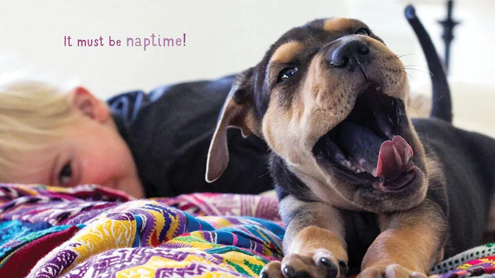 Naptime with Theo and Beau book for kids | by Jessica Shyba