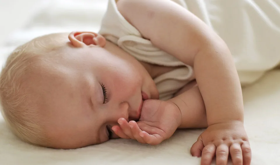 A fancy stroller liner that’s almost as fabulous as that Bugaboo.