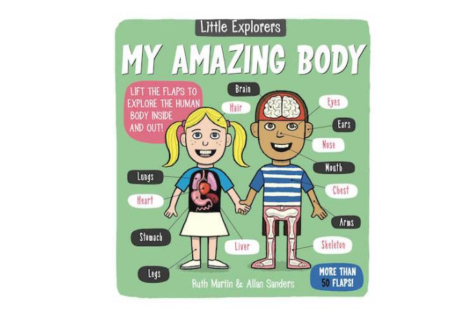 My Amazing Body: the best info for curious-about-their-bodies preschoolers