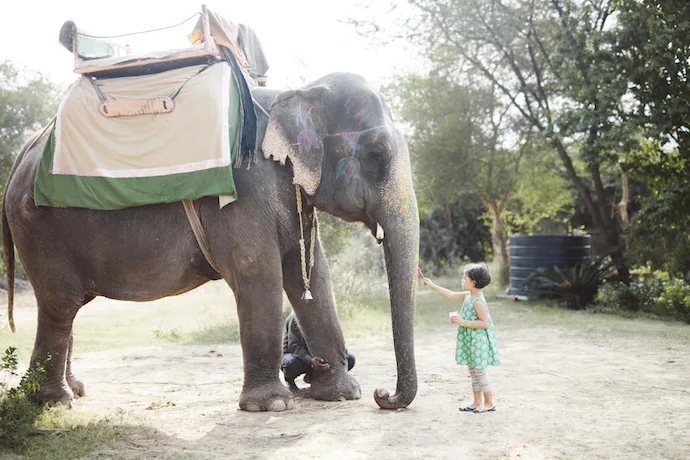 Our favorite Tea Collection spring/summer clothing for kids: Exploring the colors and patterns of India without a passport