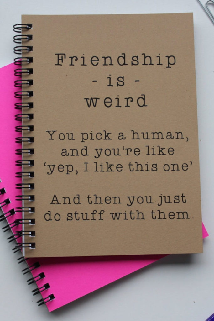 "Friendship is weird" best friend journal from journaling Jane