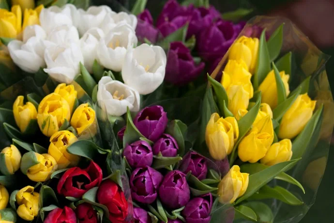 Small indulgences to help your mood | Photo by Neil Conway