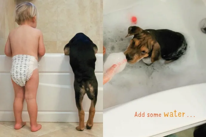 Bathtime with Theo and Beau: Adorable new children's book that might get kids in the bath!