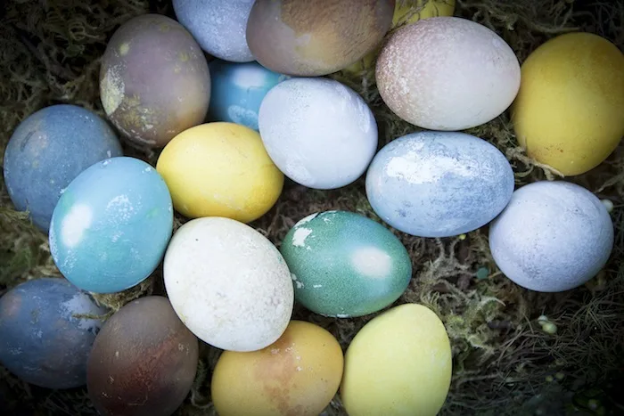 Step-by-step expert instructions for making natural Easter egg dyes | photo: Anthony Deffina