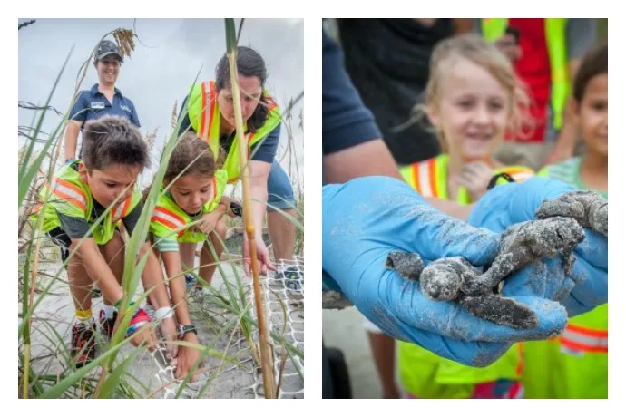 Ecotourism vacation: 4 reasons why you should consider one for your family | Photo: Jekyll Island